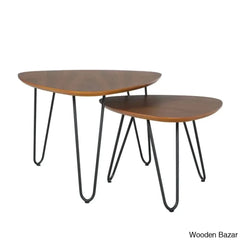 Staplehurswot Nesting (Set Of 2) Coffee And Center Table